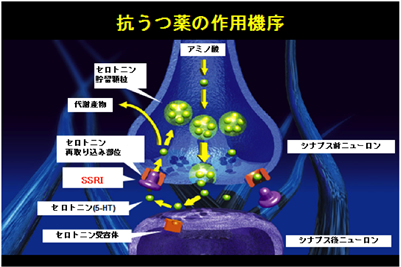 抗うつ薬の作用機序