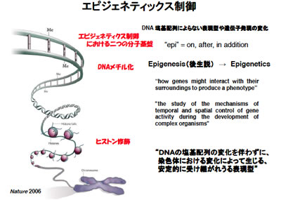 ティクス エピ ジェネ エピジェネティクスとは