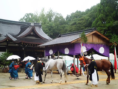 神前には神饌だけでなく、雅楽の奏上や神馬も奉納される 神前には神饌だけでなく、雅楽の奏上や神馬も奉納される