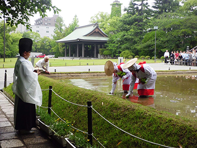 早乙女の田植えを祭主として見守る 早乙女の田植えを祭主として見守る