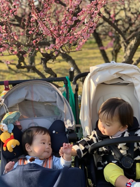  孫が2人いる三宅善信代表